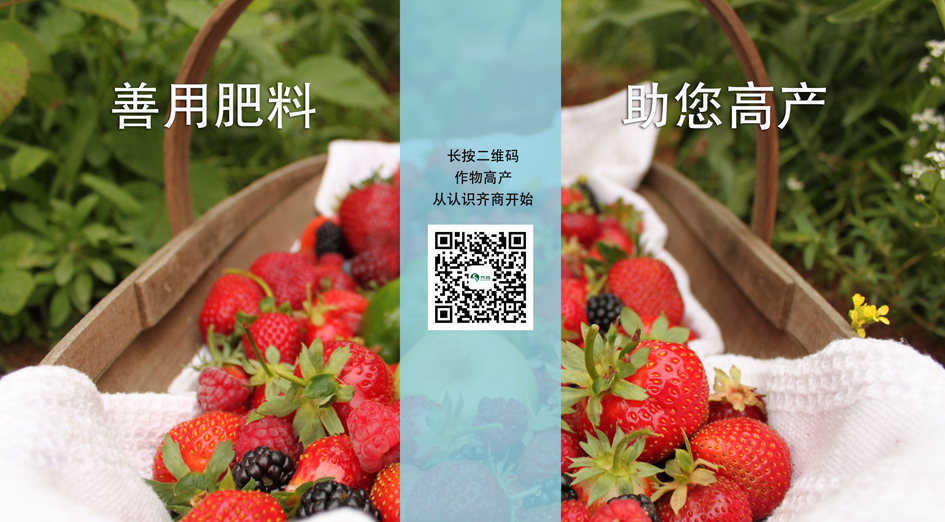 微信推广 副本.jpg