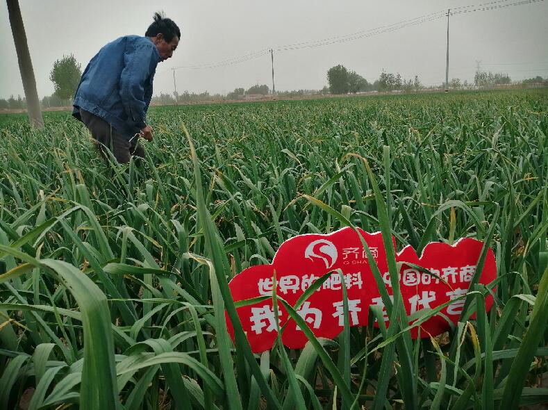 1756005915926342.jpg QQ截图20210417163007.jpg