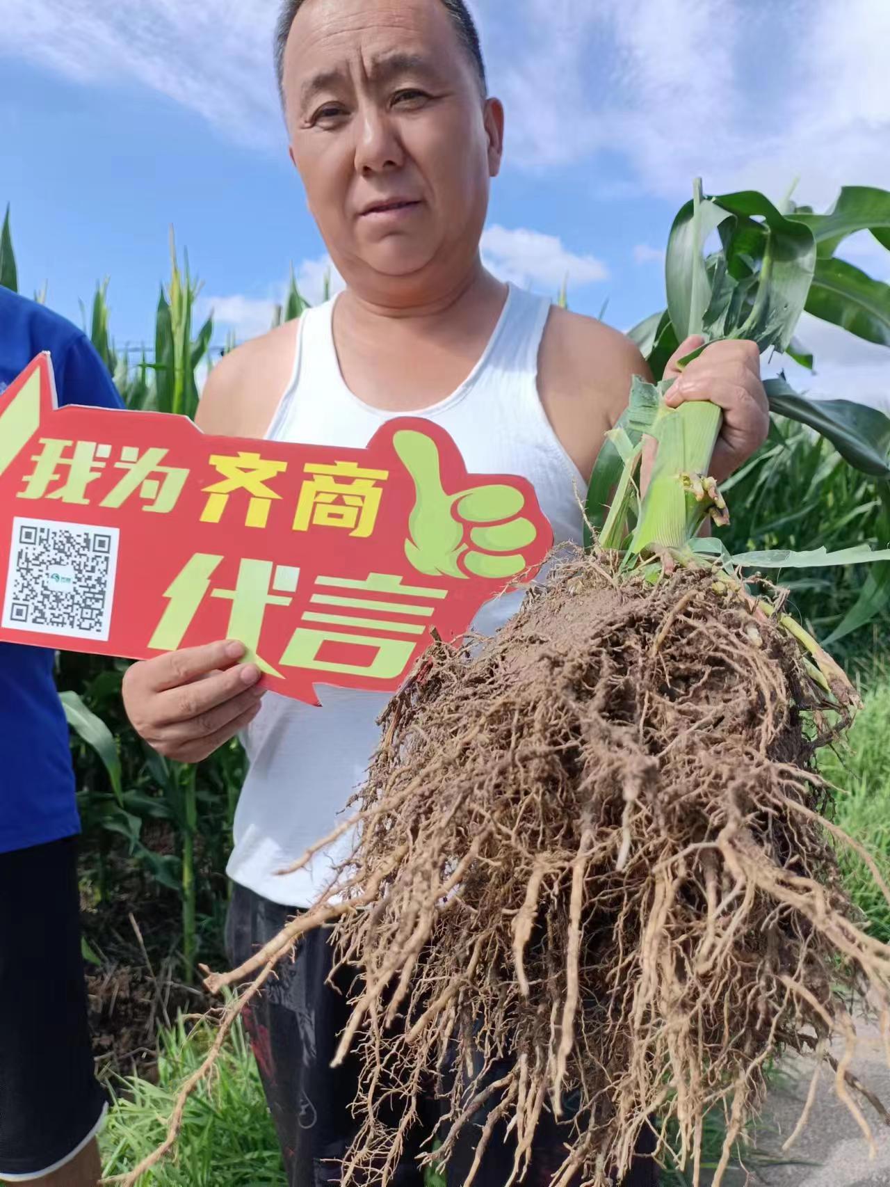 微信图片_20230807094427.jpg